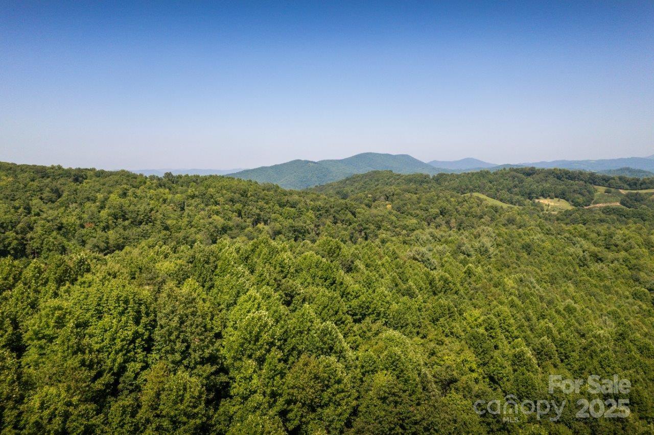Tbd Flat Springs Road Property Photo 11