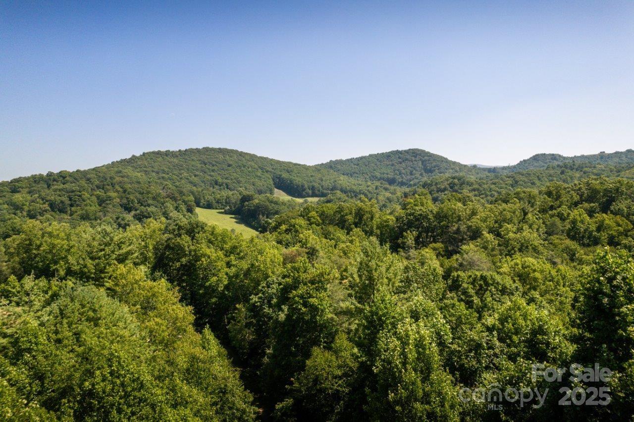 Tbd Flat Springs Road Property Photo 13