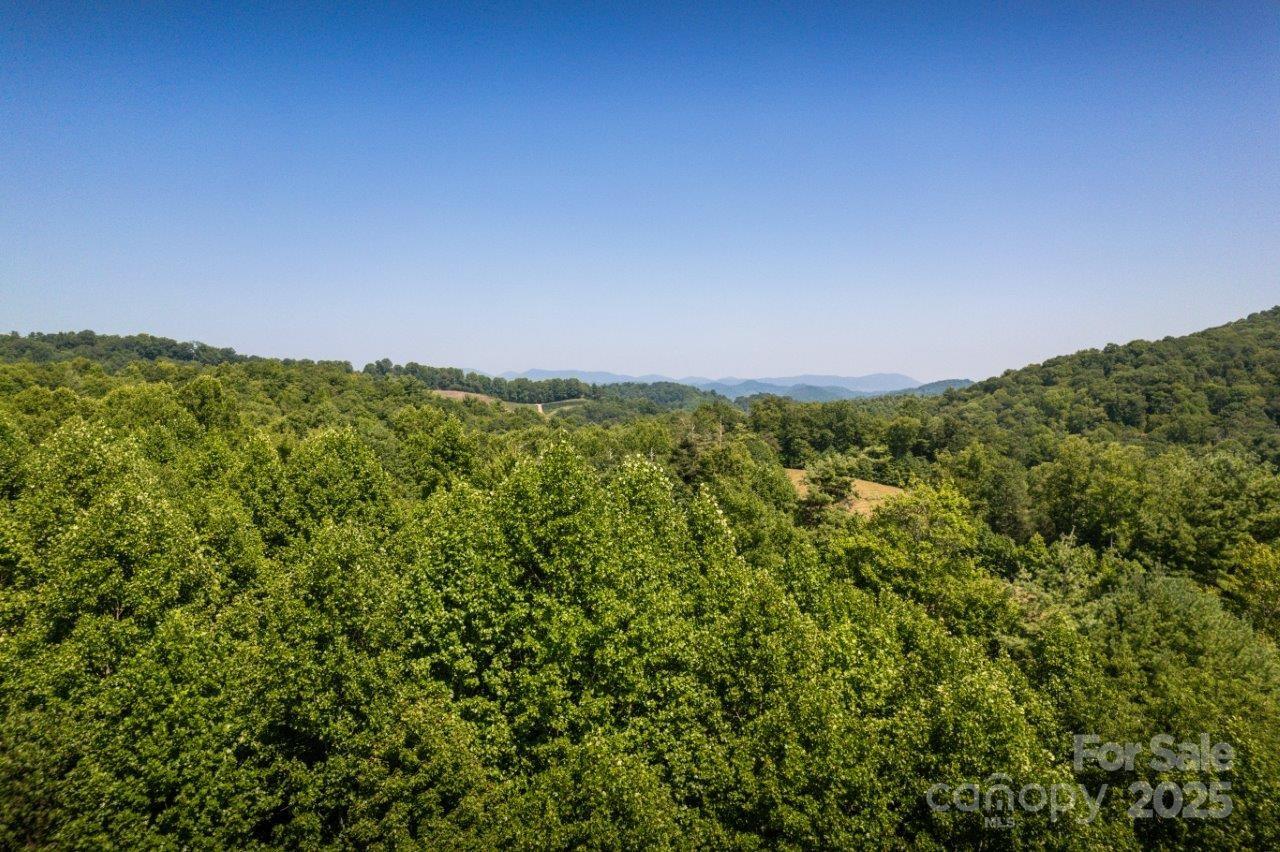 Tbd Flat Springs Road Property Photo 14