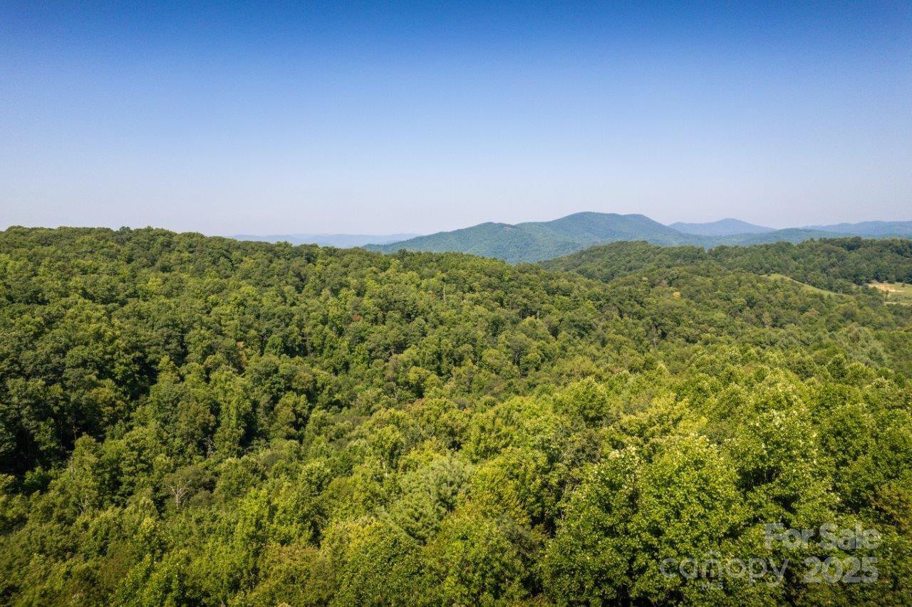 Tbd Flat Springs Road Property Photo 15