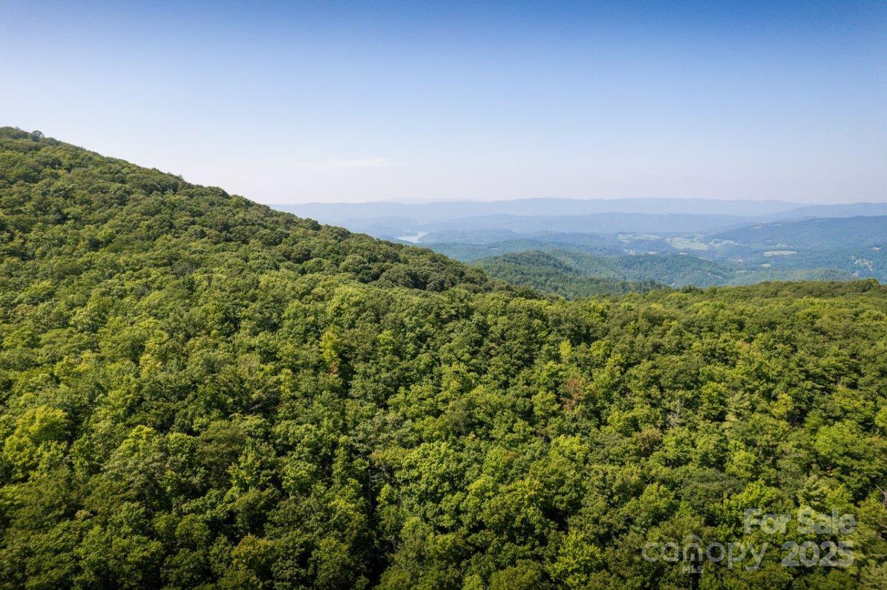 Tbd Flat Springs Road Property Photo 16