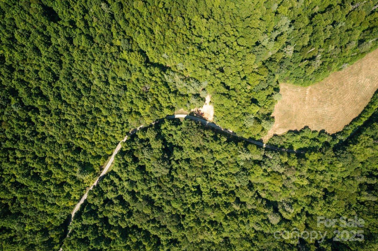 Tbd Flat Springs Road Property Photo 19