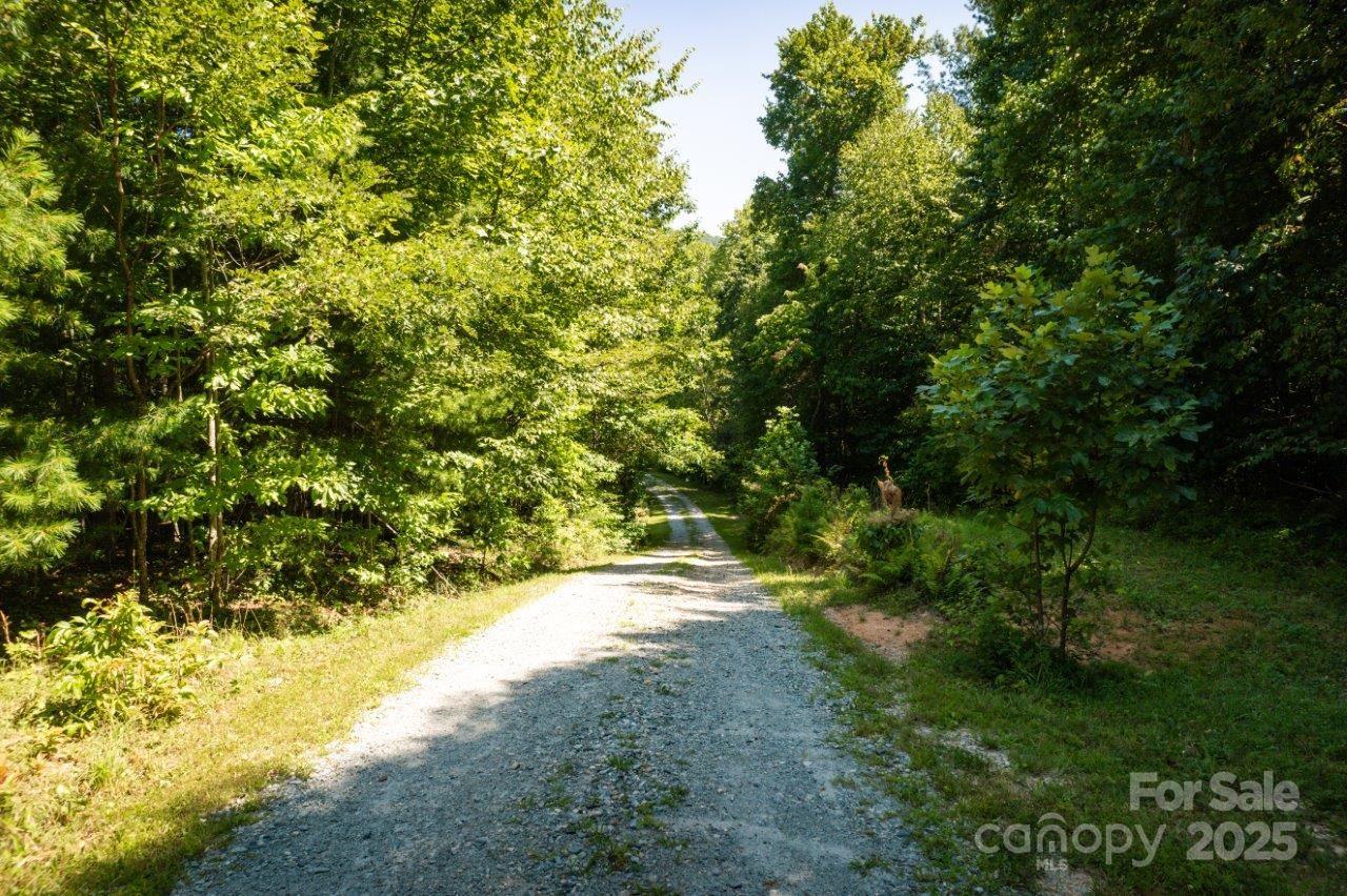 Tbd Flat Springs Road Property Photo 20