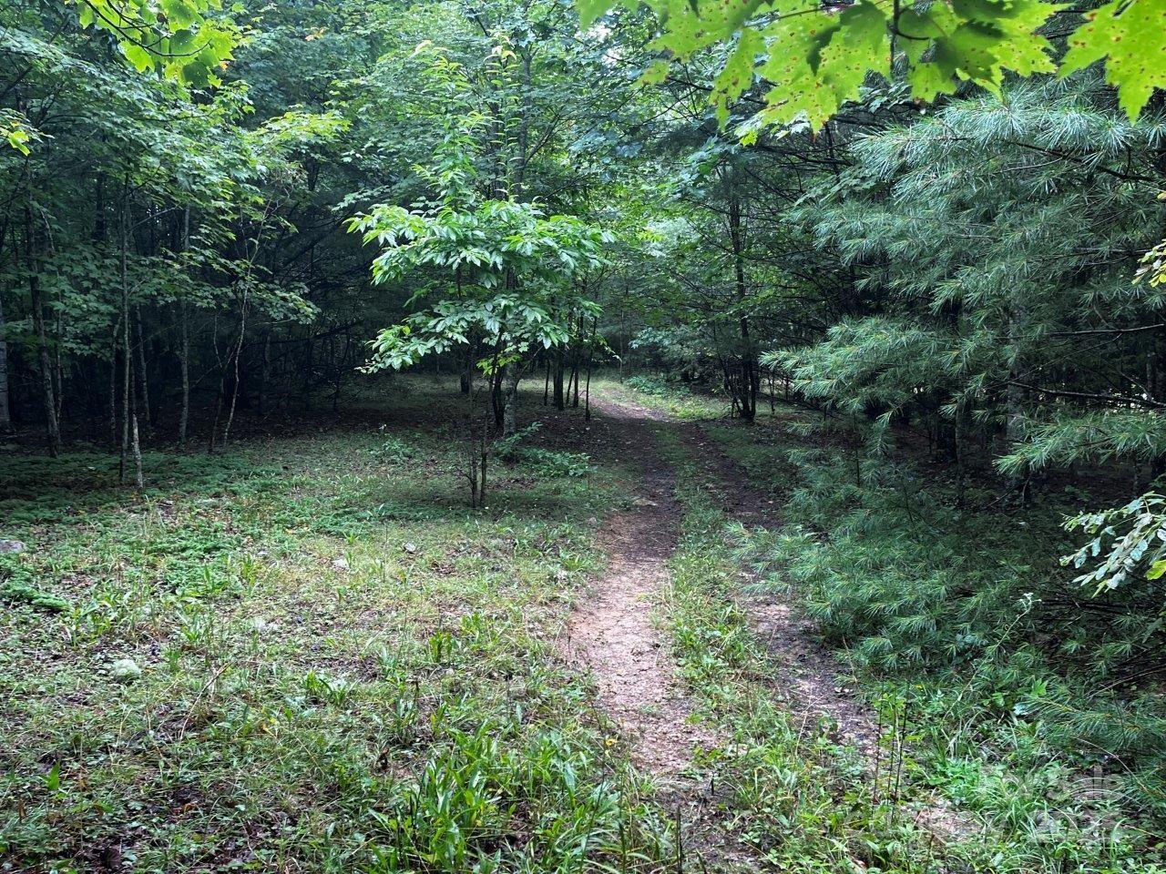 Tbd Flat Springs Road Property Photo 22