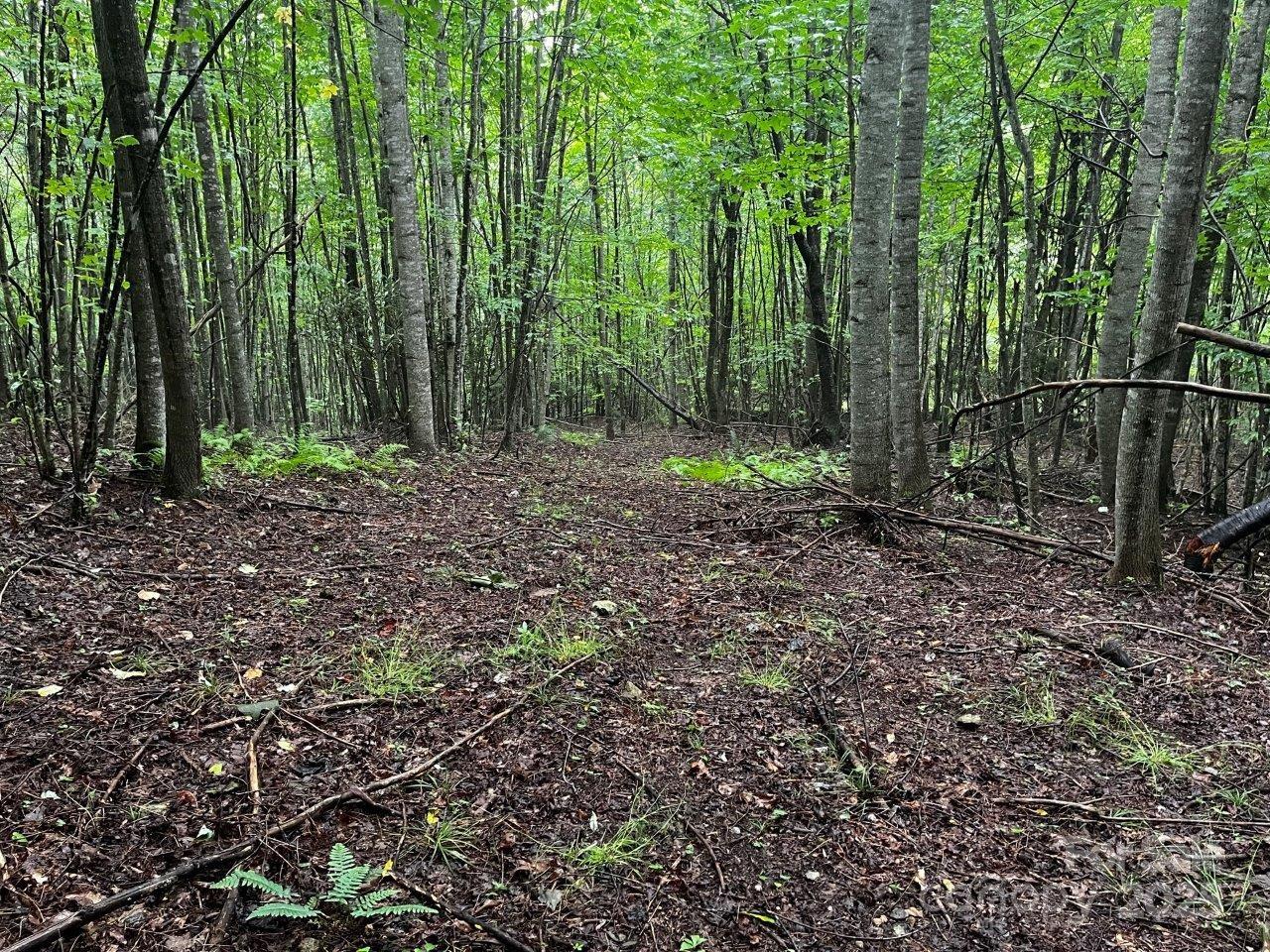 Tbd Flat Springs Road Property Photo 24