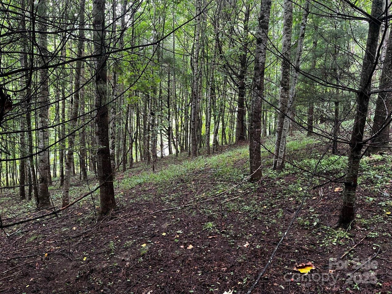 Tbd Flat Springs Road Property Photo 25
