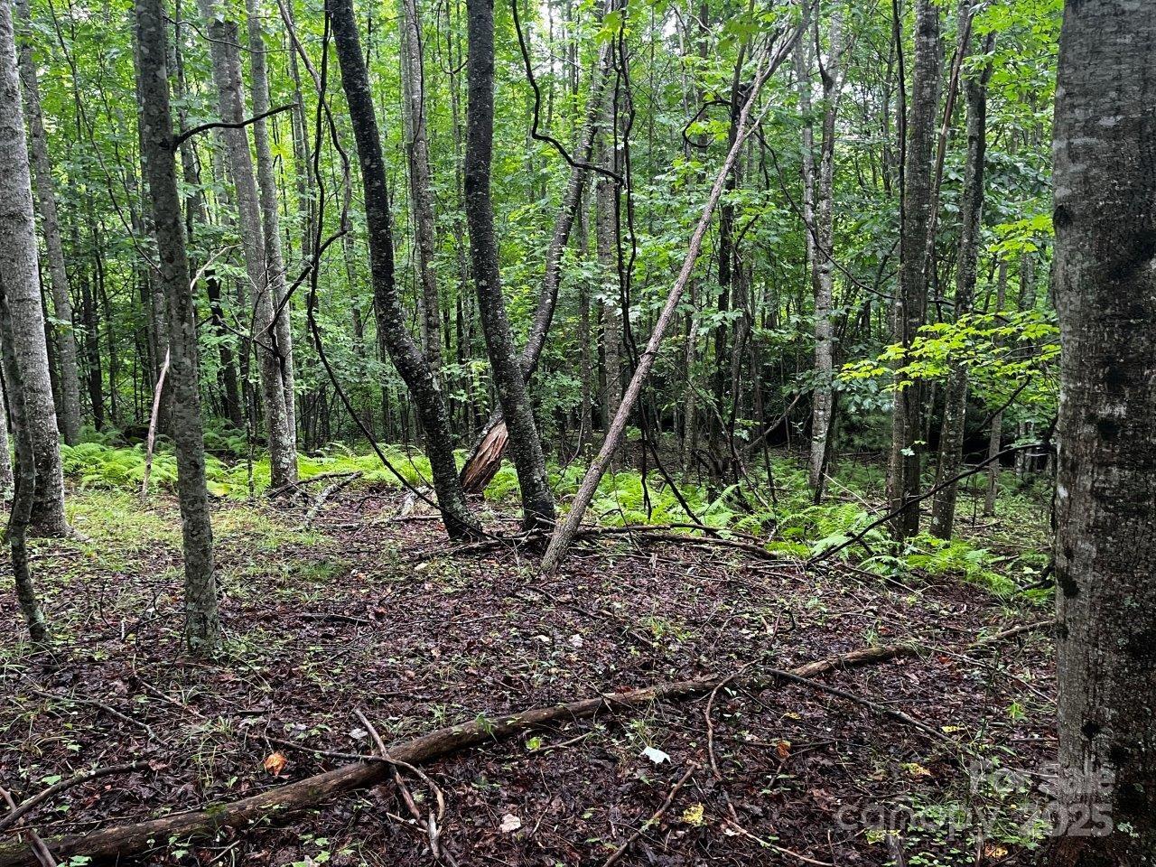 Tbd Flat Springs Road Property Photo 26