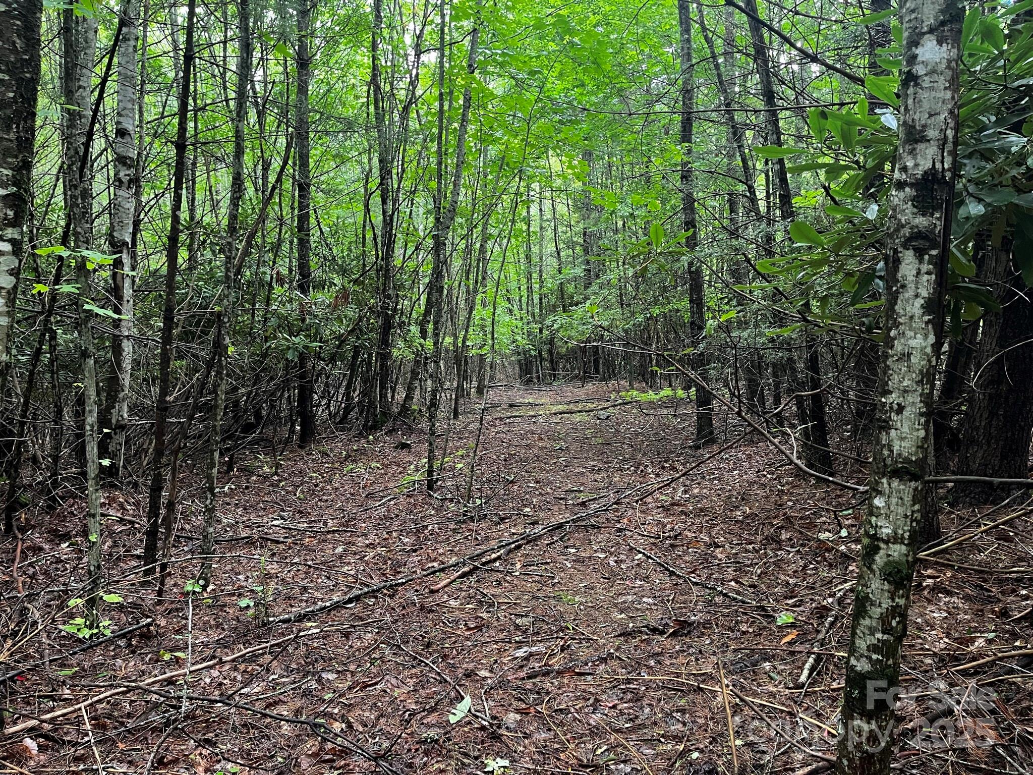 Tbd Flat Springs Road Property Photo 27