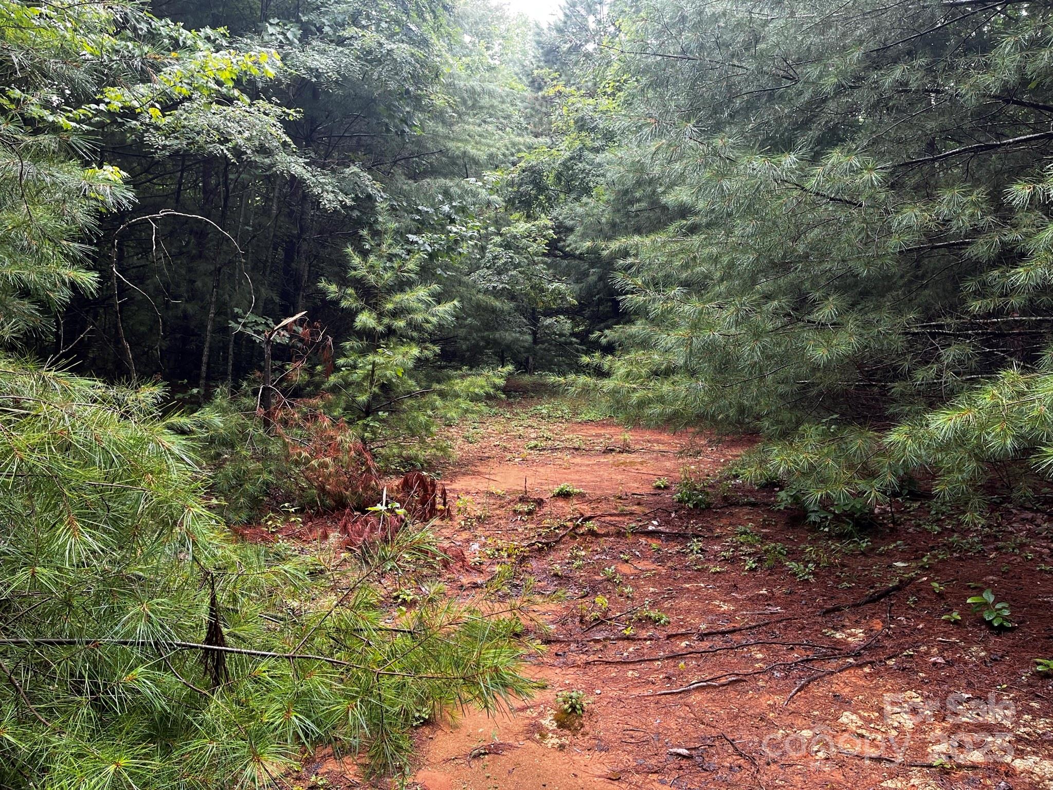 Tbd Flat Springs Road Property Photo 28