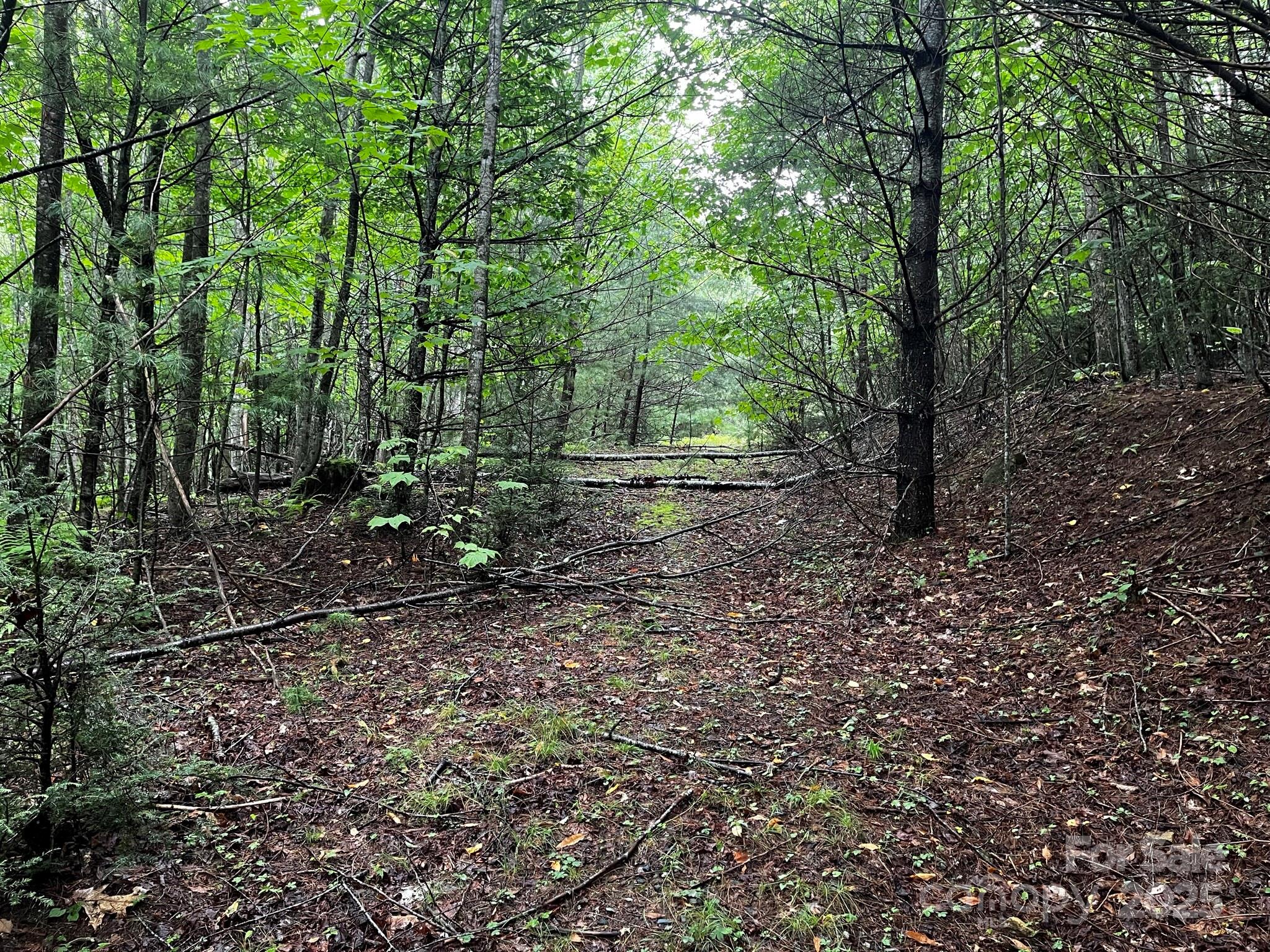 Tbd Flat Springs Road Property Photo 29