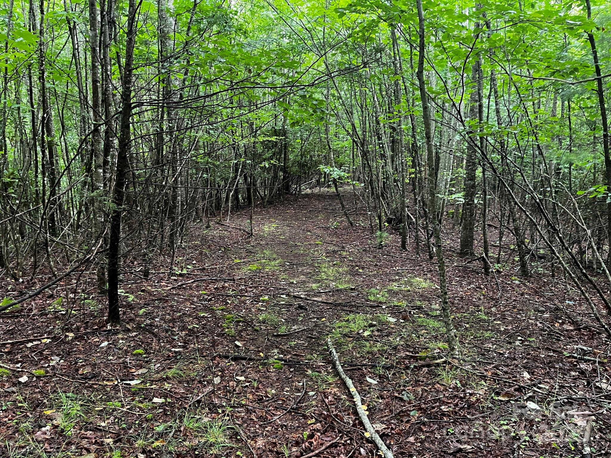 Tbd Flat Springs Road Property Photo 30