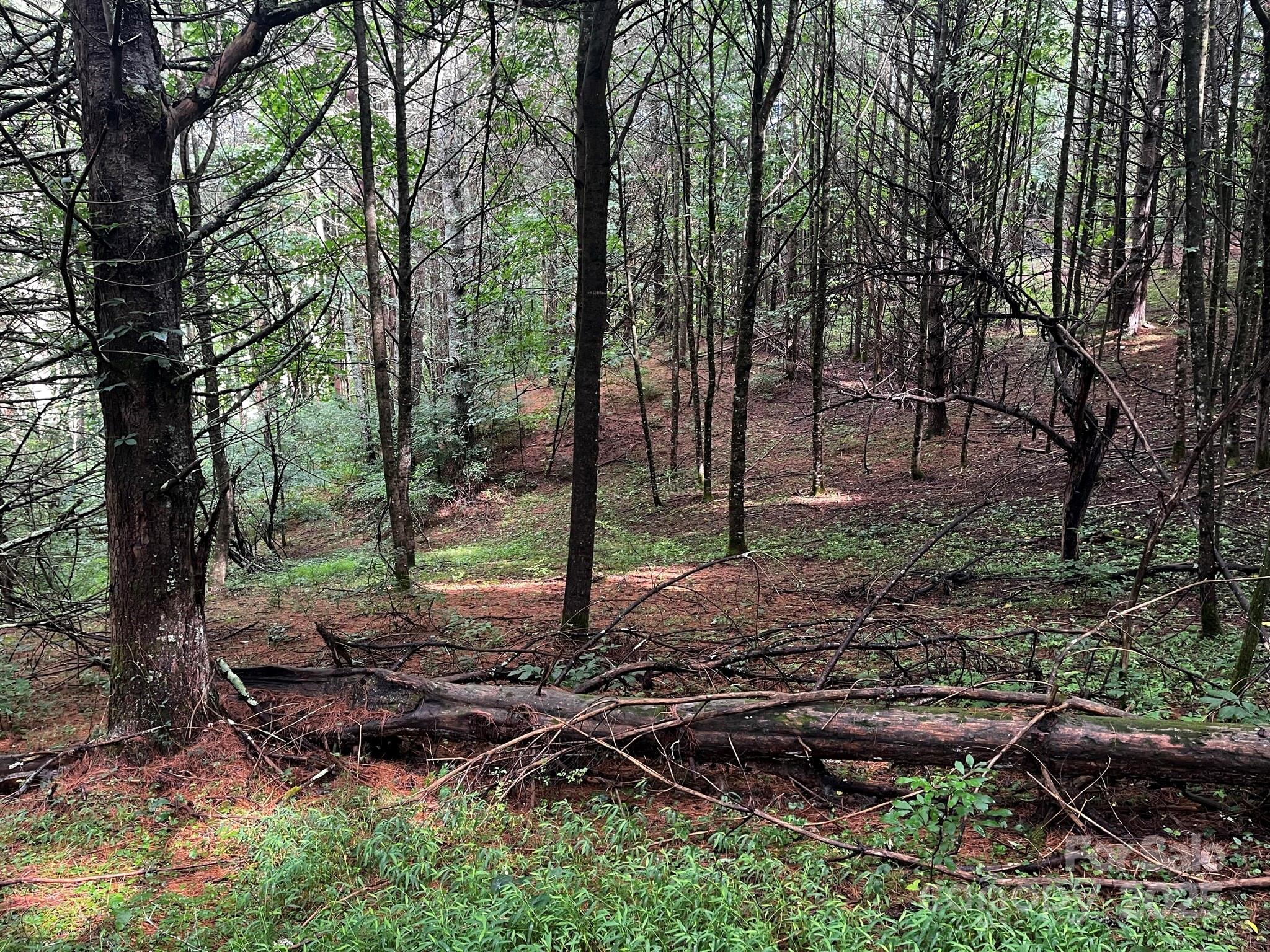 Tbd Flat Springs Road Property Photo 31