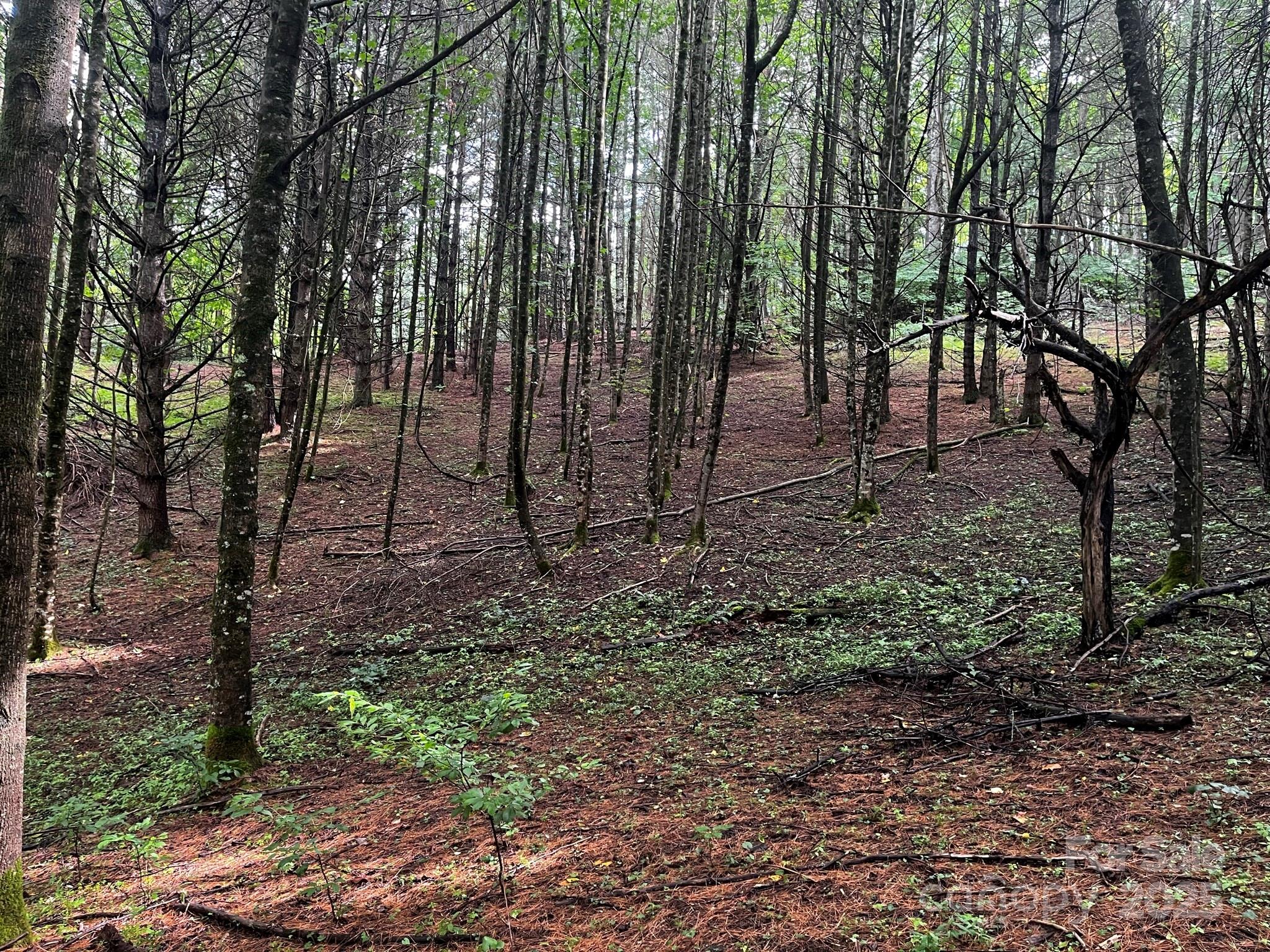 Tbd Flat Springs Road Property Photo 32