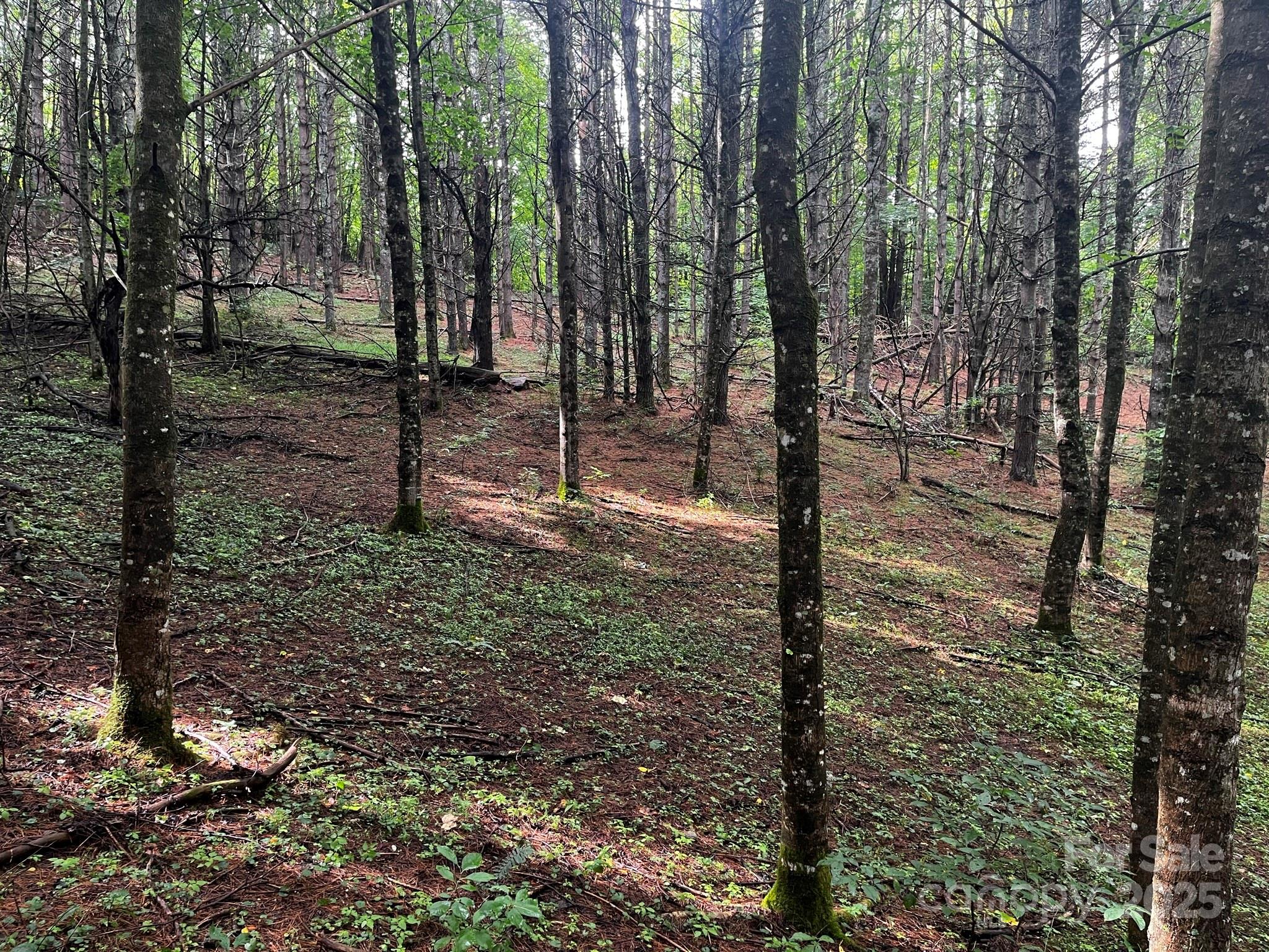 Tbd Flat Springs Road Property Photo 33