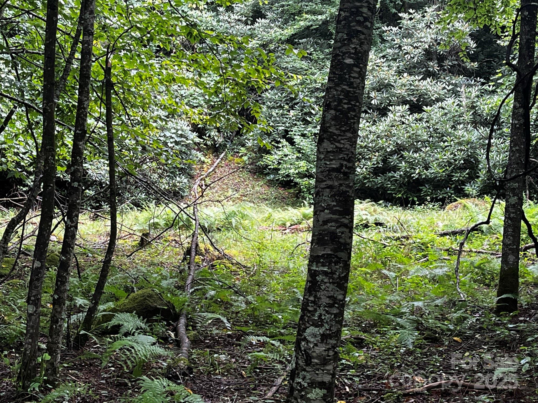 Tbd Flat Springs Road Property Photo 34