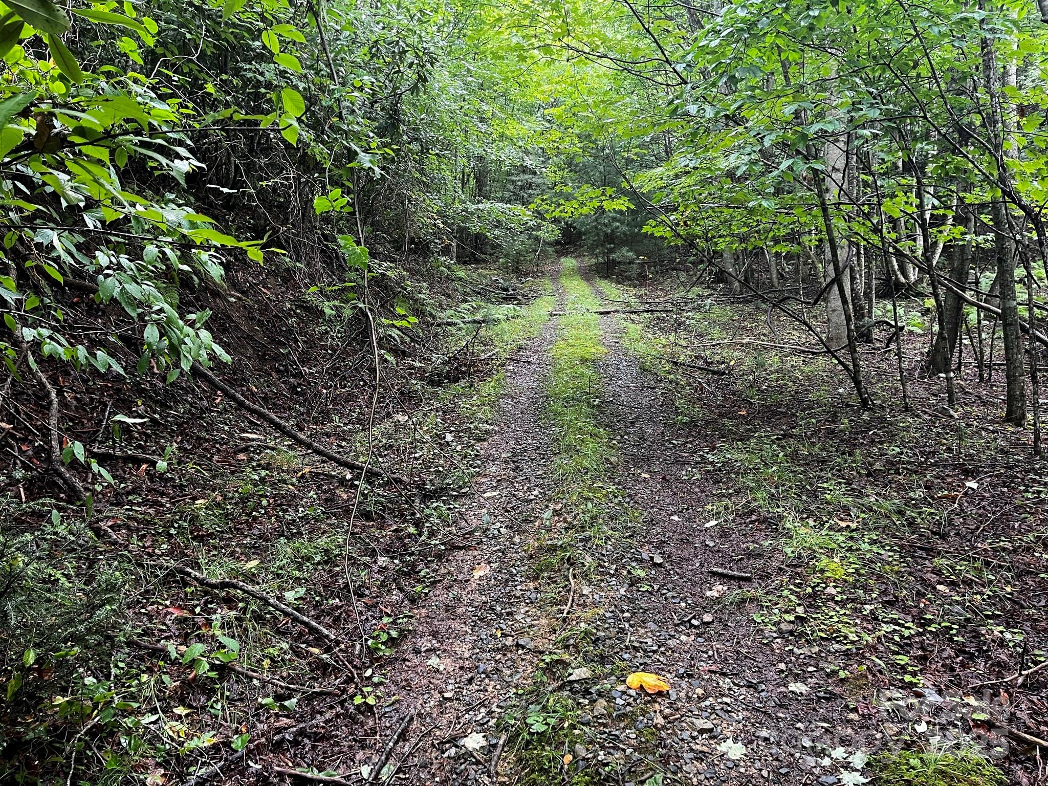 Tbd Flat Springs Road Property Photo 35
