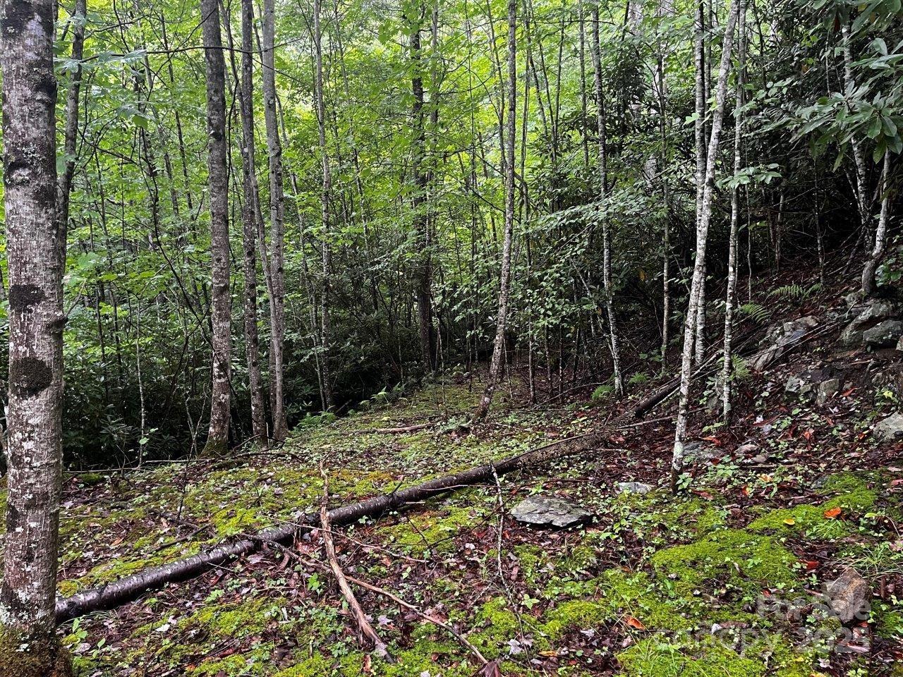 Tbd Flat Springs Road Property Photo 38