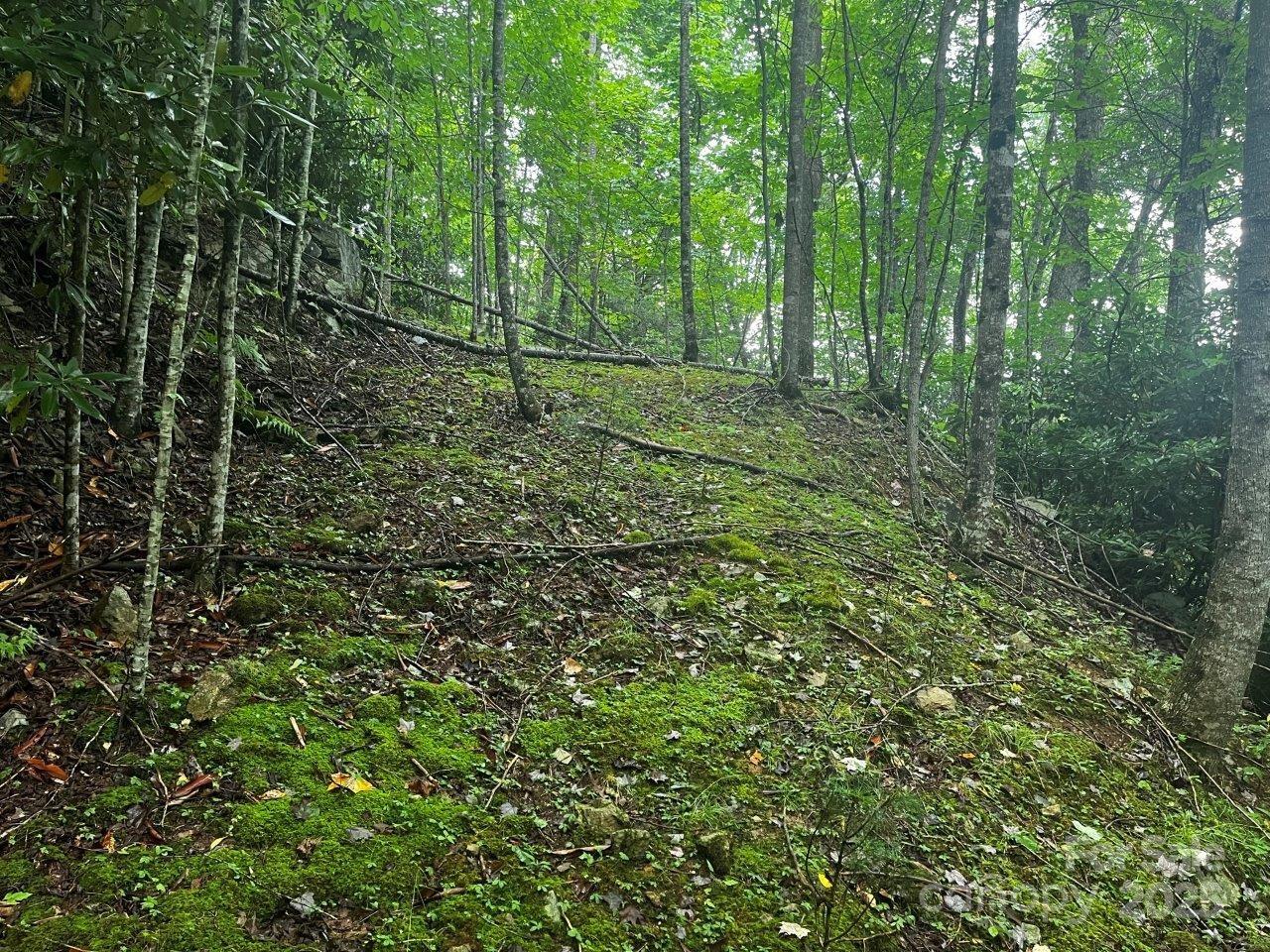 Tbd Flat Springs Road Property Photo 39
