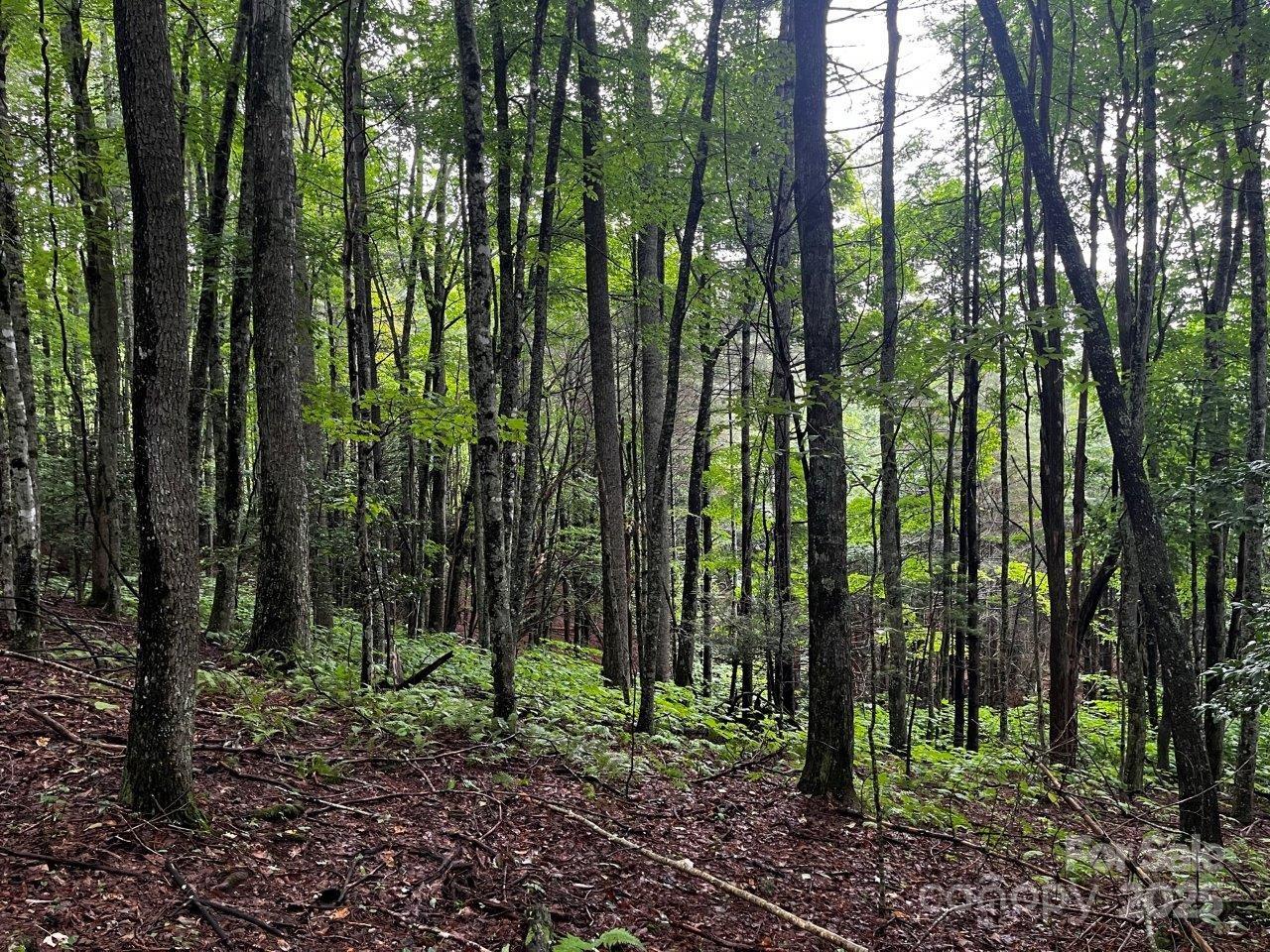 Tbd Flat Springs Road Property Photo 42