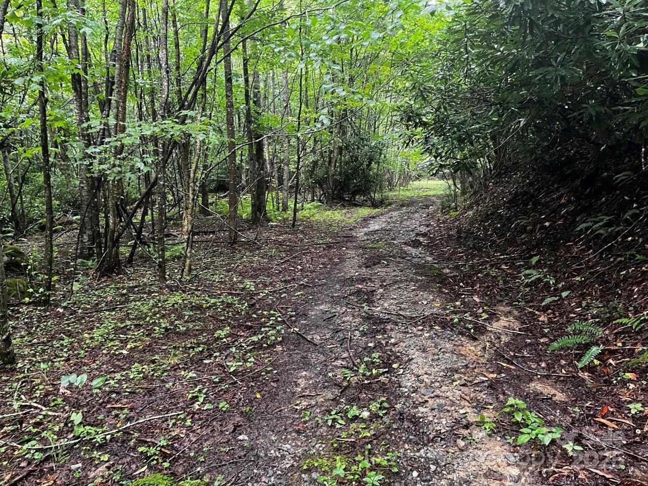 Tbd Flat Springs Road Property Photo 43