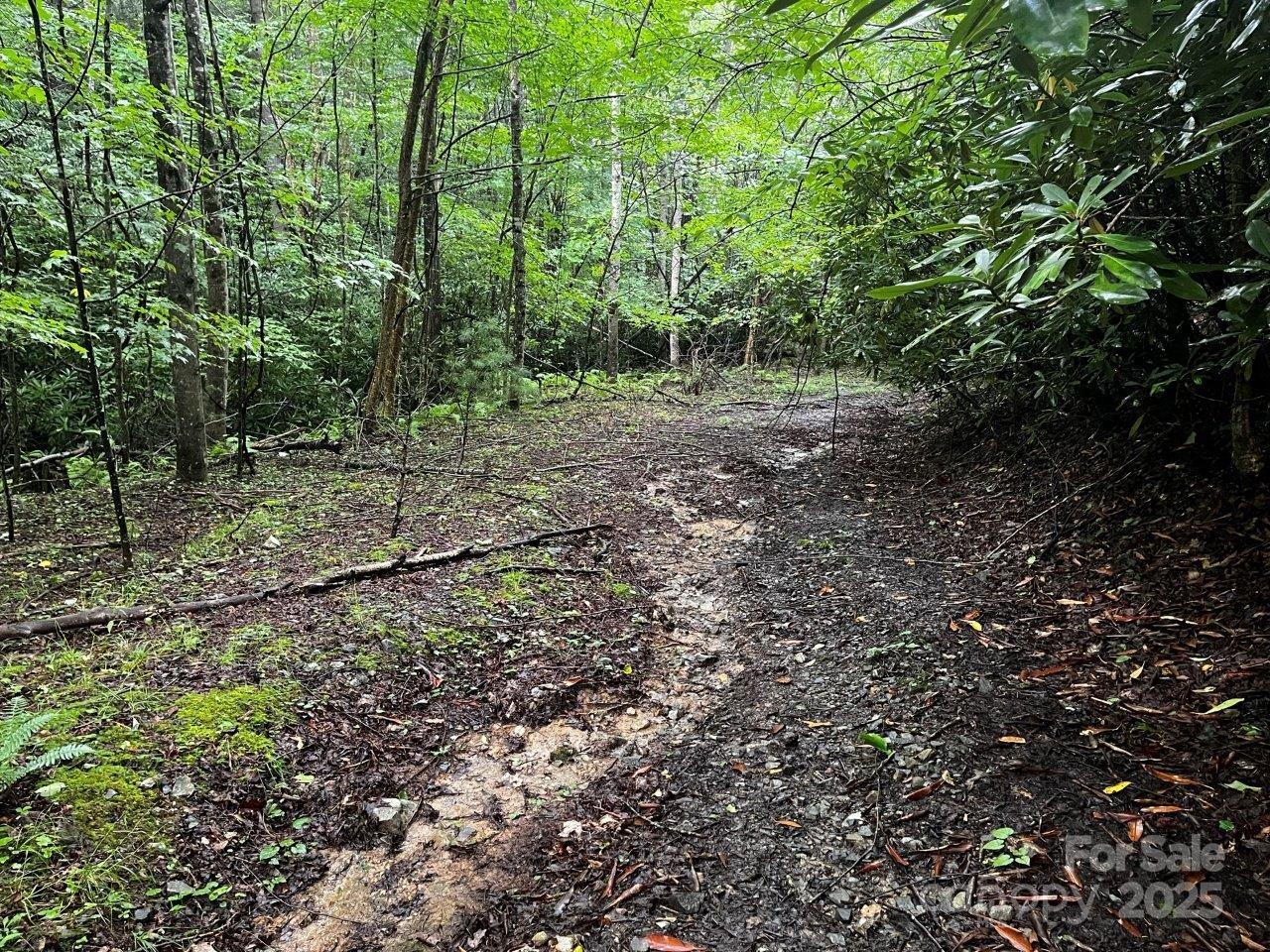 Tbd Flat Springs Road Property Photo 45