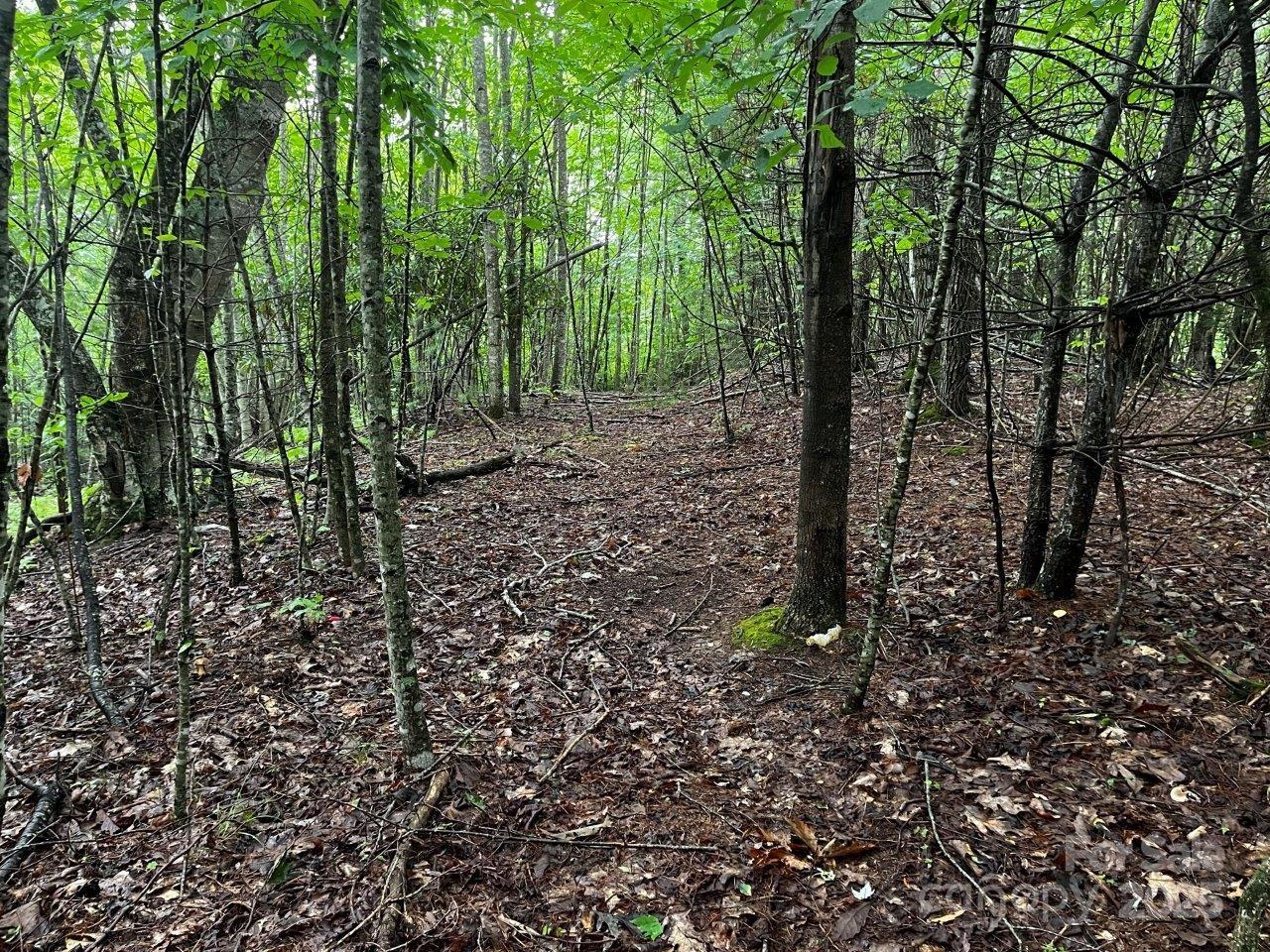Tbd Flat Springs Road Property Photo 46