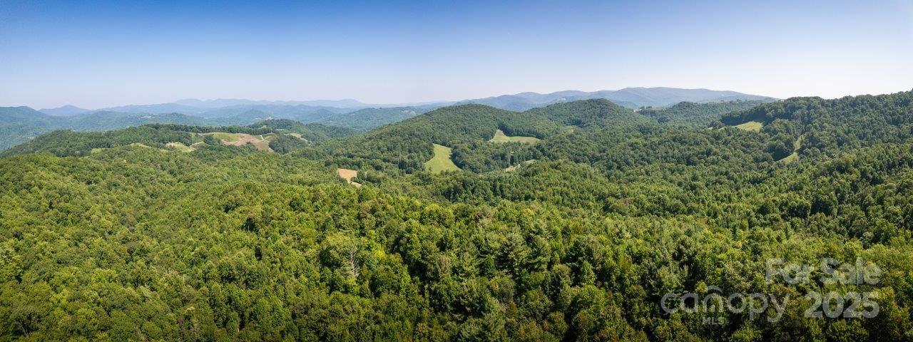 Tbd Flat Springs Road Property Photo 48