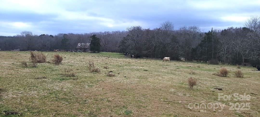 Tbd Willie Usher Road Property Photo 6