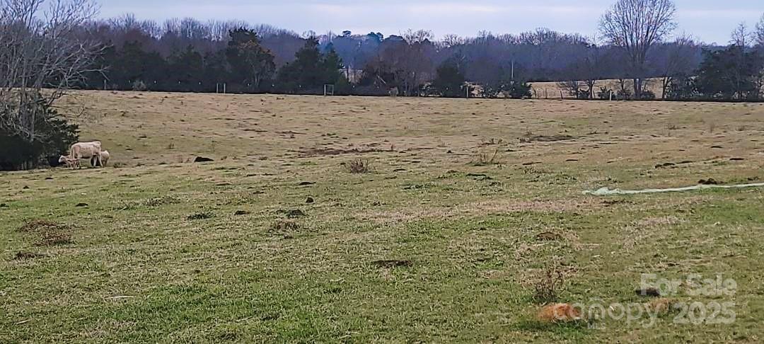 Tbd Willie Usher Road Property Photo 15