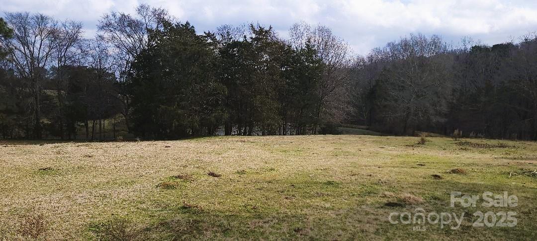 Tbd Willie Usher Road Property Photo 18