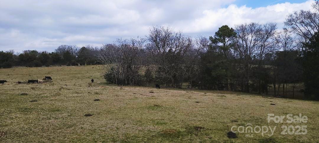 Tbd Willie Usher Road Property Photo 22