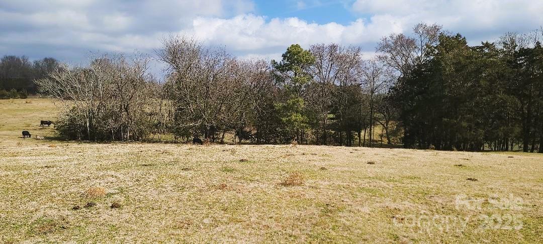 Tbd Willie Usher Road Property Photo 27