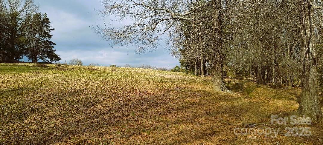 Tbd Willie Usher Road Property Photo 31