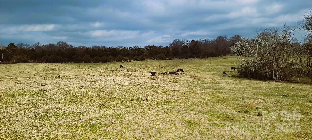Tbd Willie Usher Road Property Photo 32
