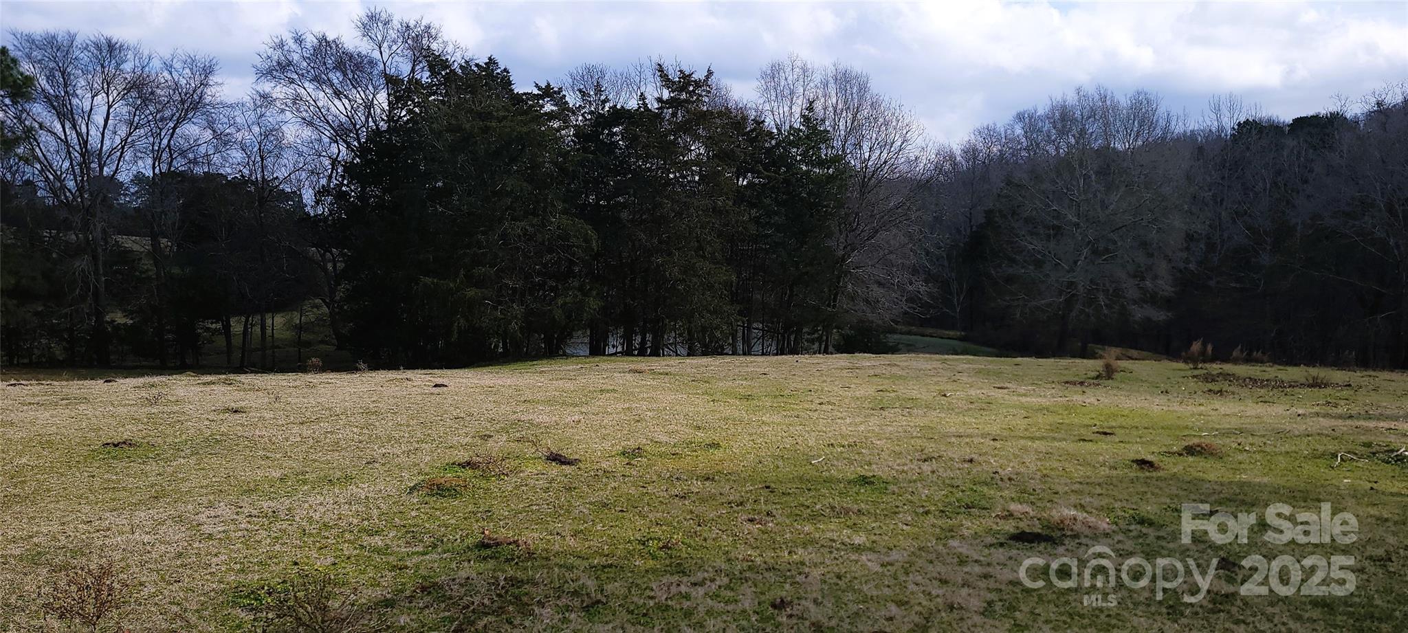 Tbd Willie Usher Road Property Photo 33
