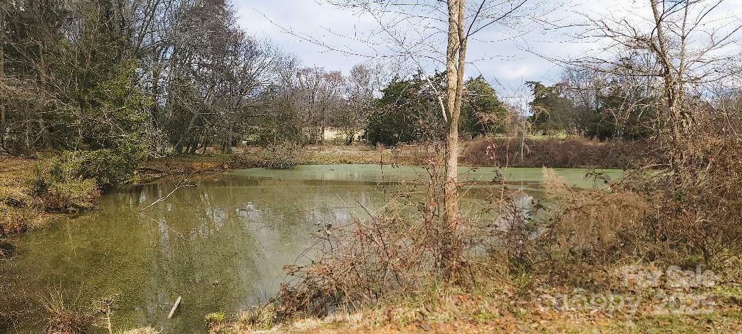 Tbd Willie Usher Road Property Photo 35