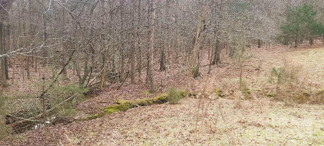 Tbd Willie Usher Road Property Photo 36