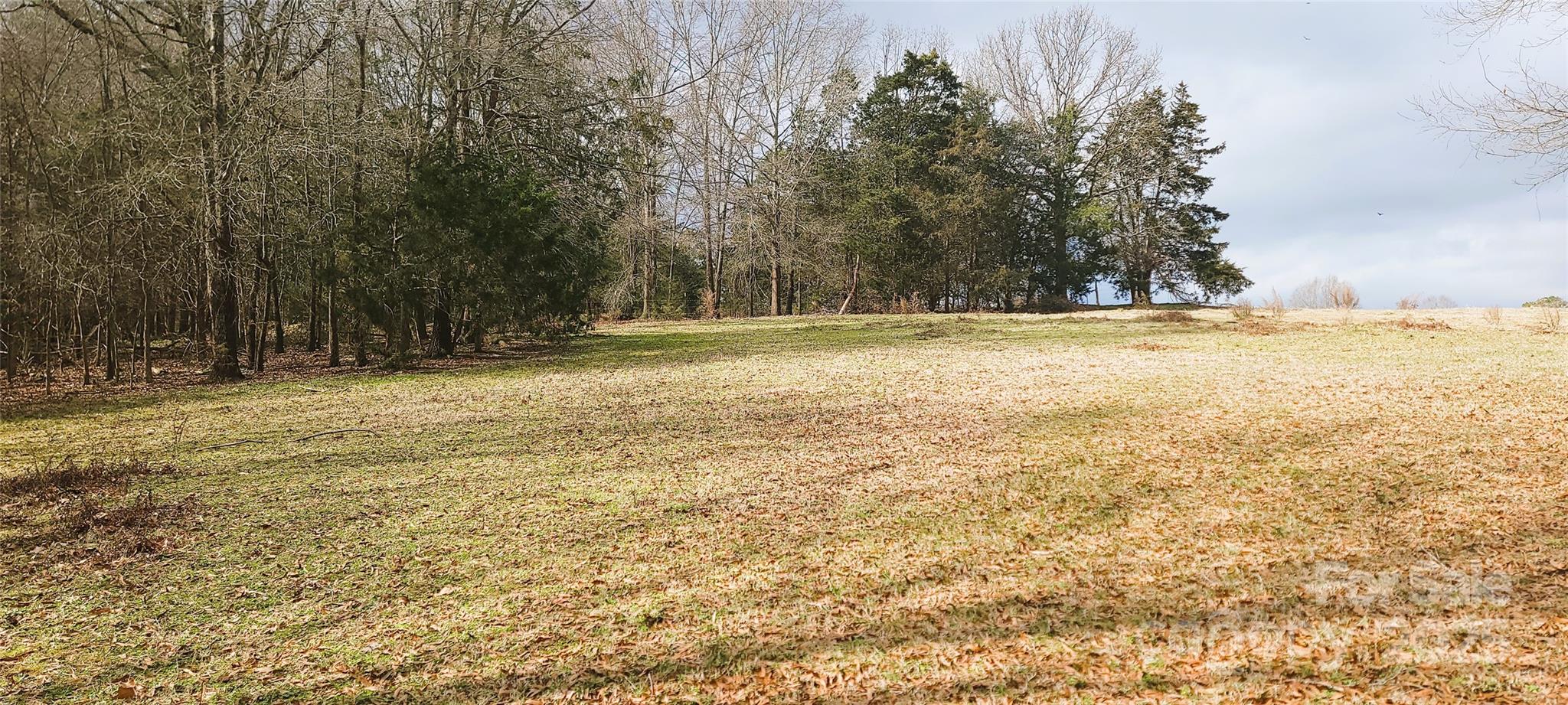 Tbd Willie Usher Road Property Photo 37