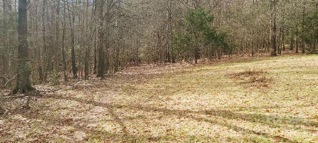 Tbd Willie Usher Road Property Photo 38