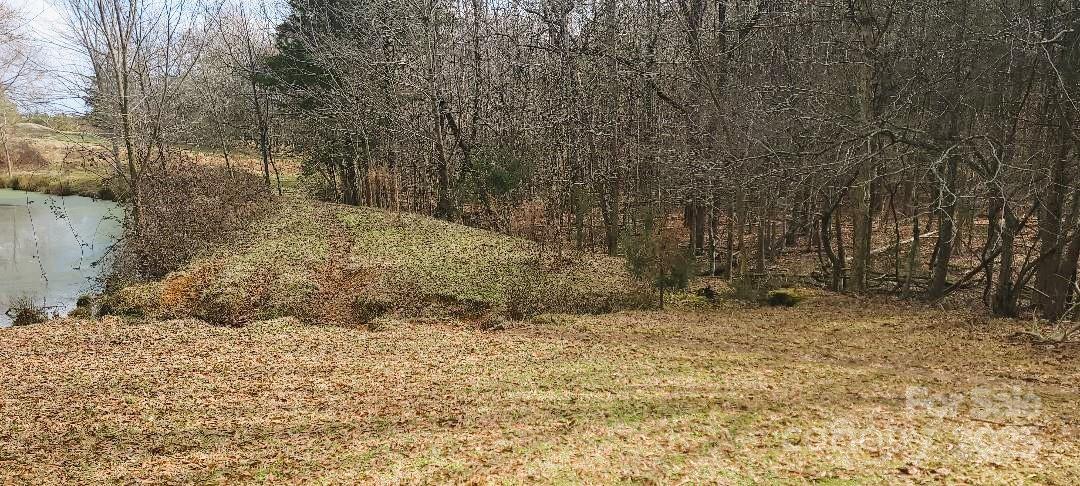 Tbd Willie Usher Road Property Photo 39