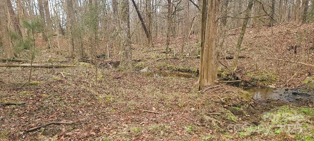 Tbd Willie Usher Road Property Photo 43