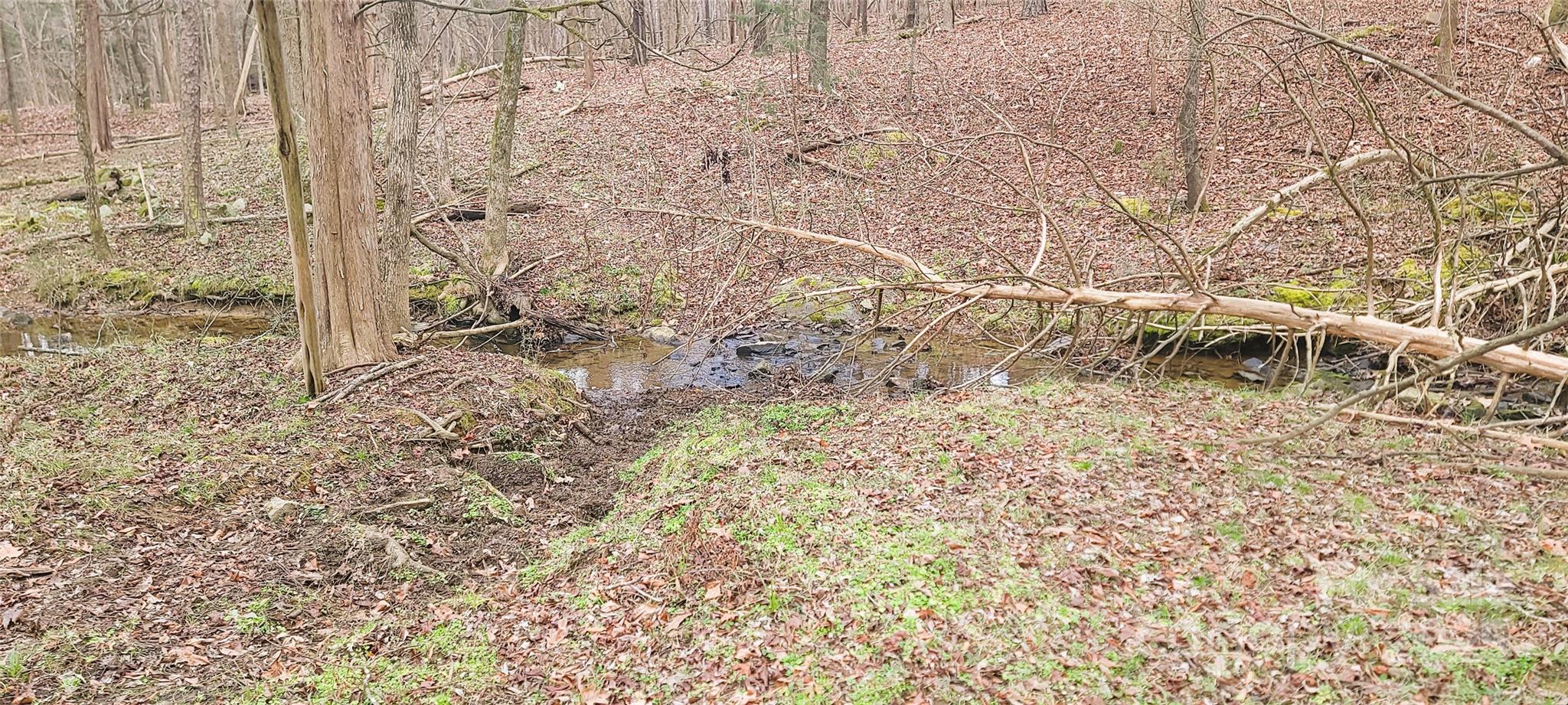 Tbd Willie Usher Road Property Photo 44