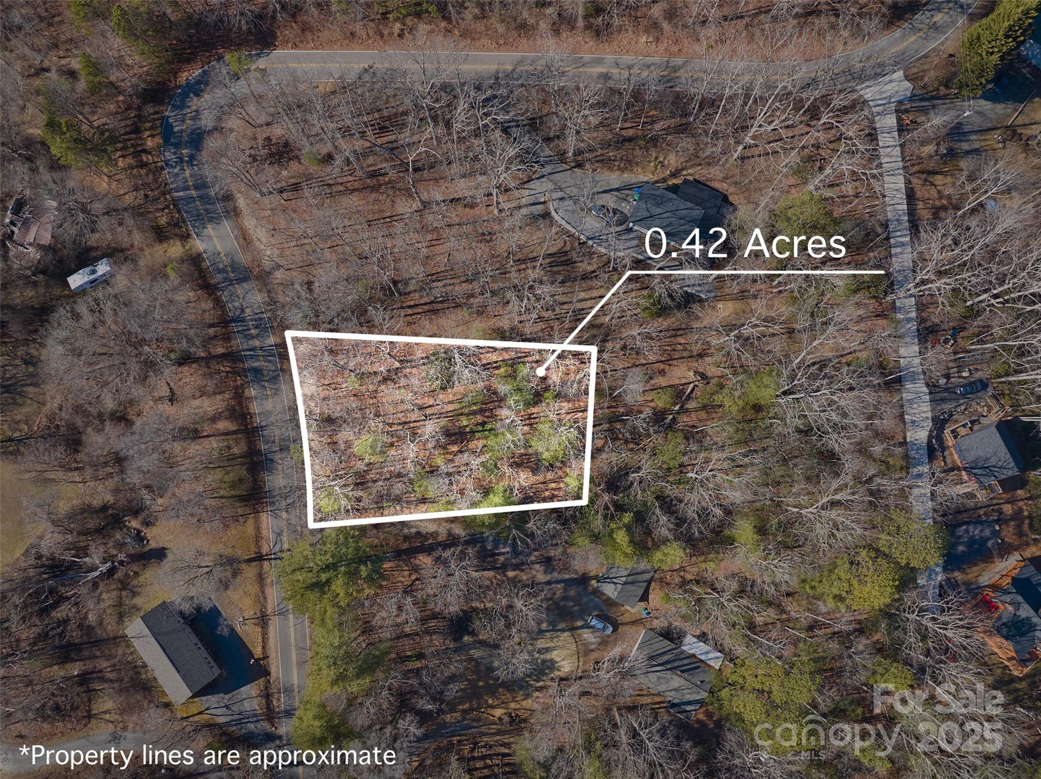 99999 Flat Top Mountain Road 2 Property Photo