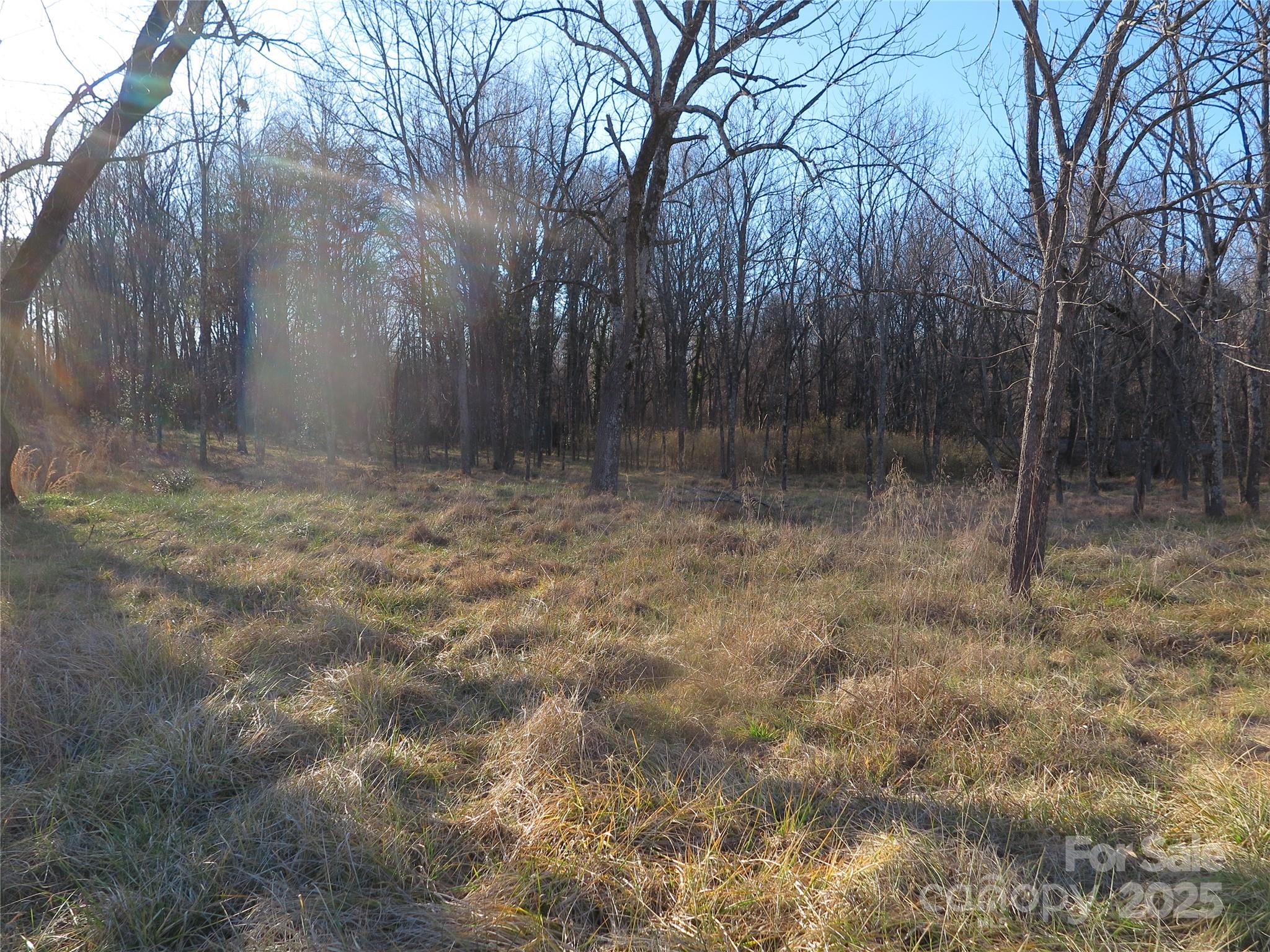 00 Wert Street Property Photo 6