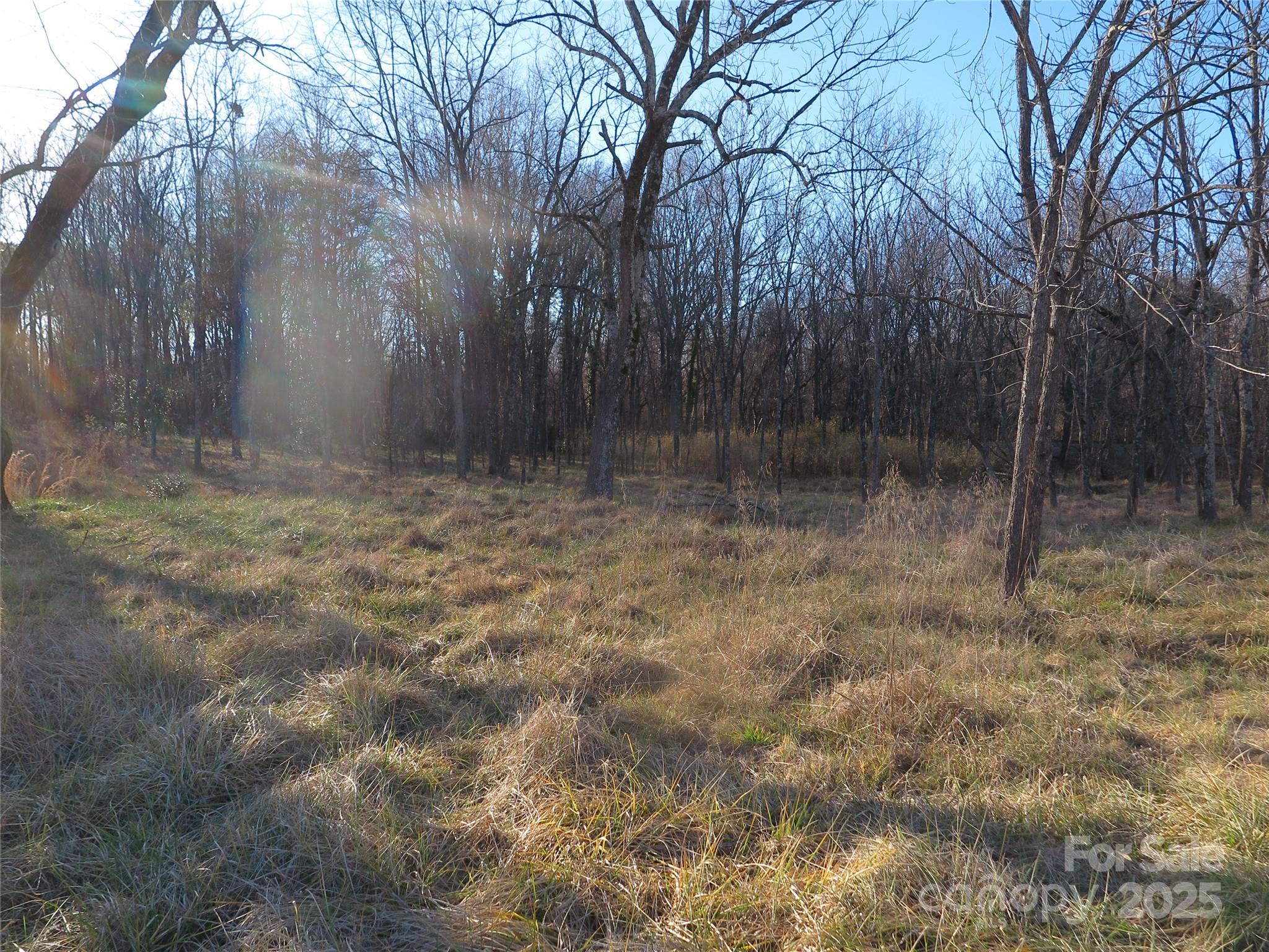 00 Wert Street Property Photo 7