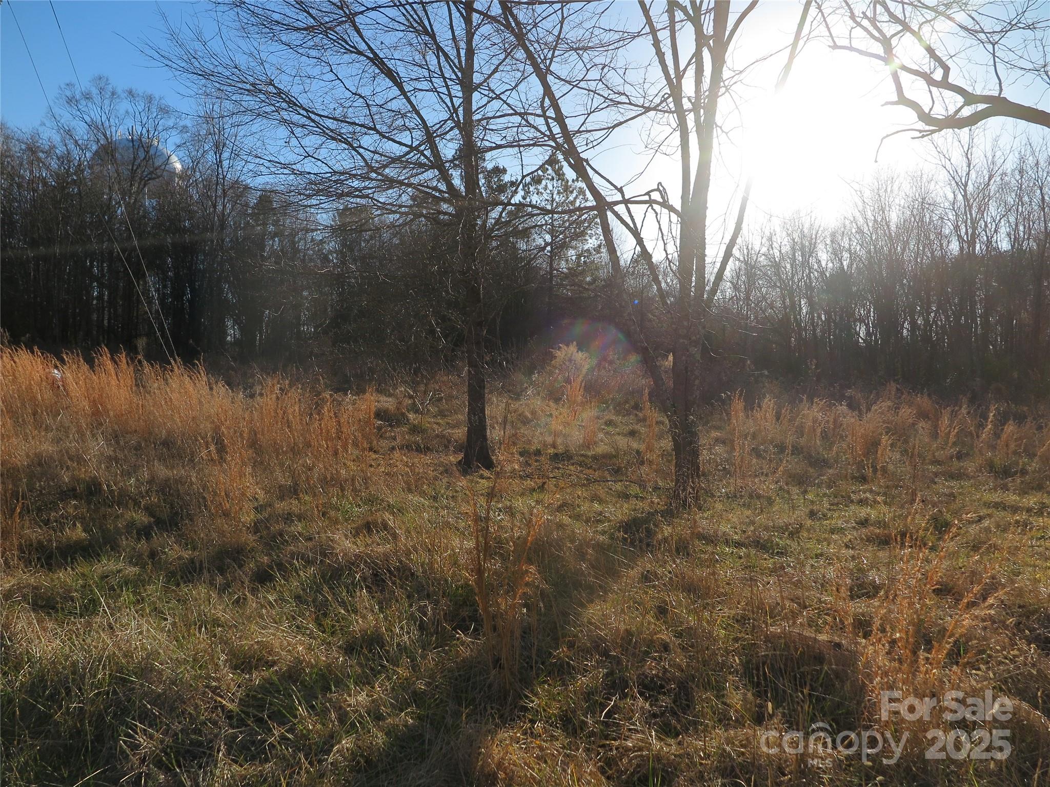 00 Wert Street Property Photo 14