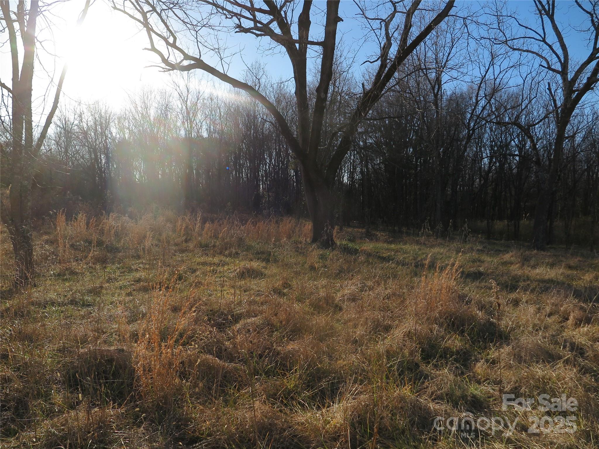 00 Wert Street Property Photo 16