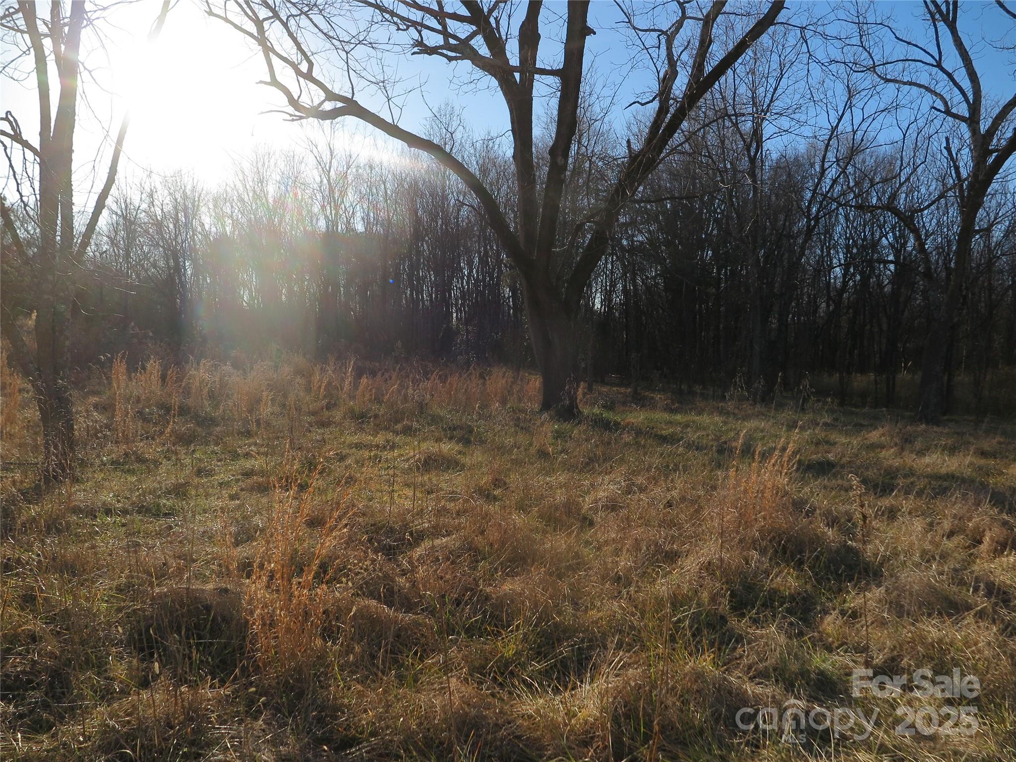 00 Wert Street Property Photo 17