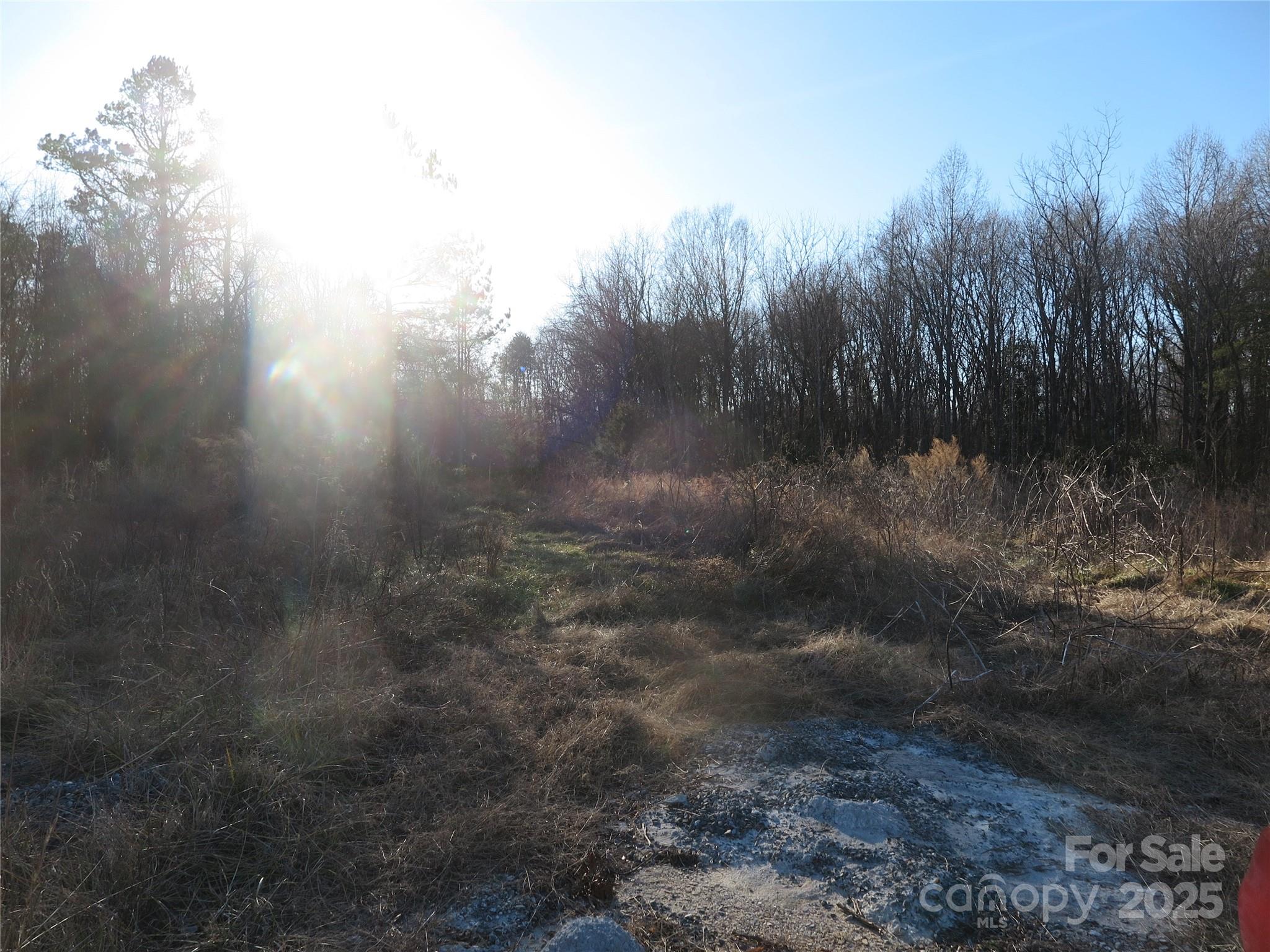 00 Wert Street Property Photo 18