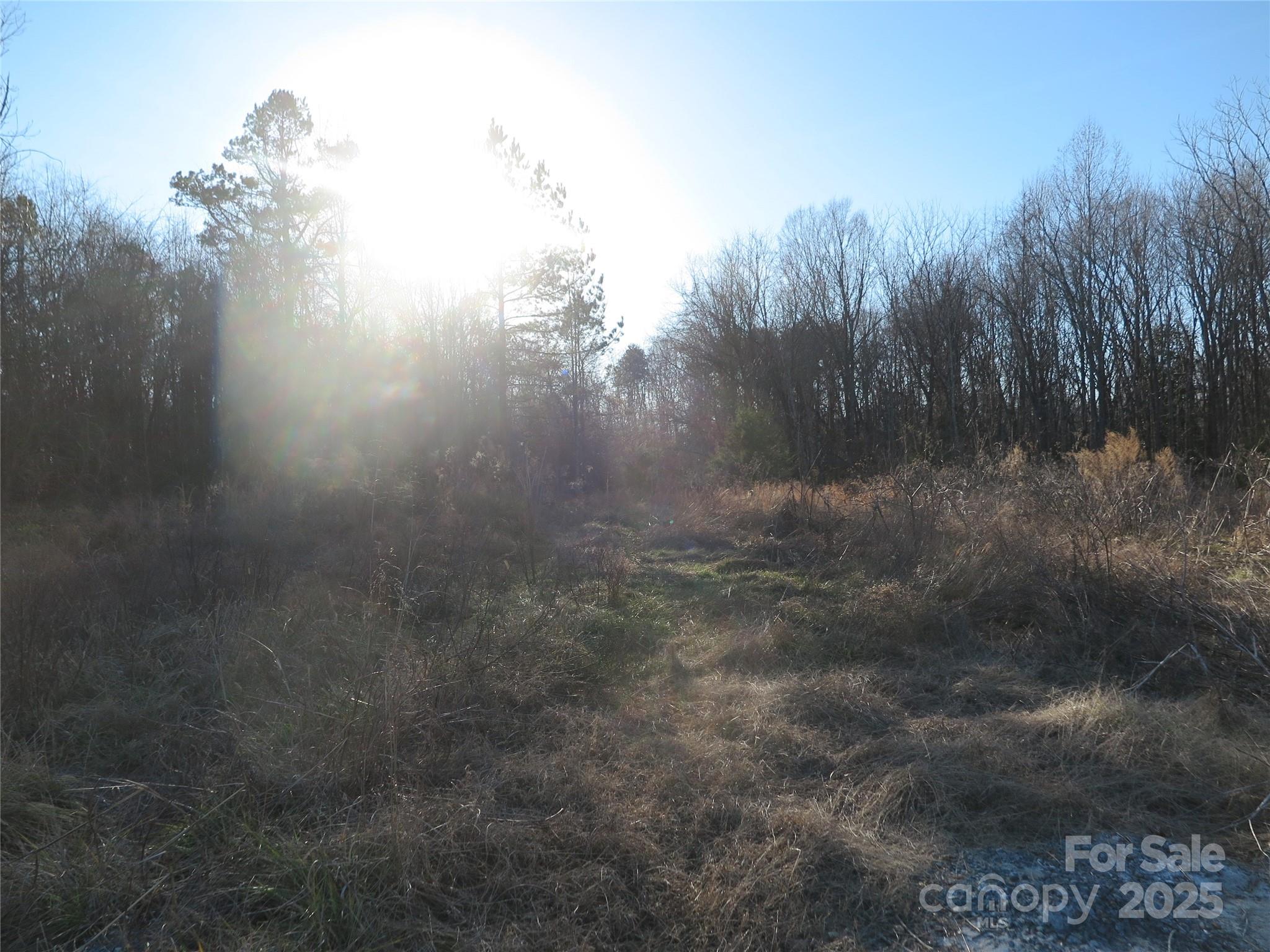 00 Wert Street Property Photo 20